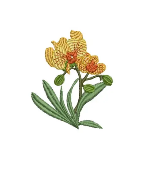 Matriz de Bordado Orquídea 01