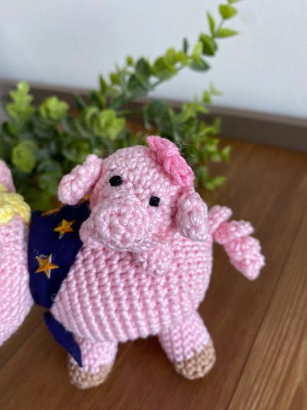 Porco Aranha Amigurumi de Crochê Presente Personalizado