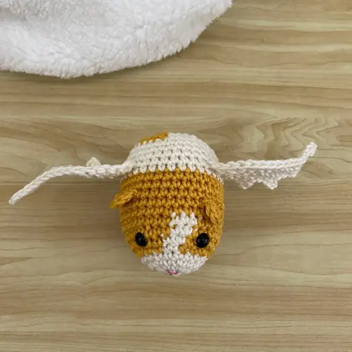 Porquinho da Índia com Asinhas amigurumi de crochê personalizad