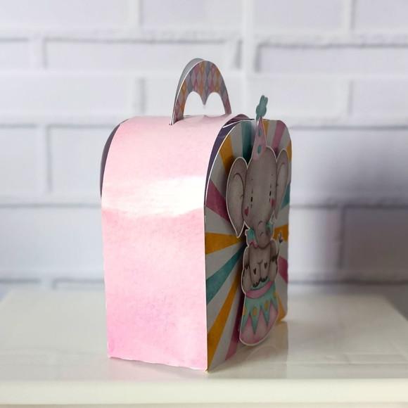 Caixa Maletinha Clássica Circo Rosa