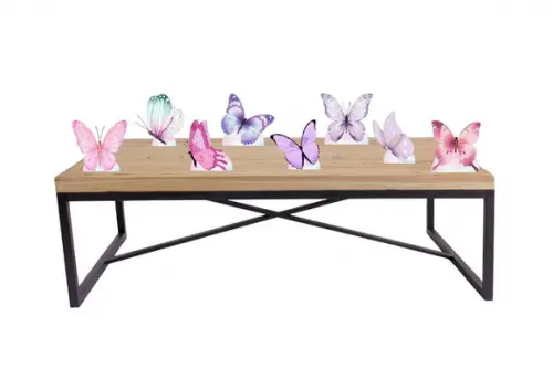 Display Jardim das Boboletas Decoração de Mesa para Festa