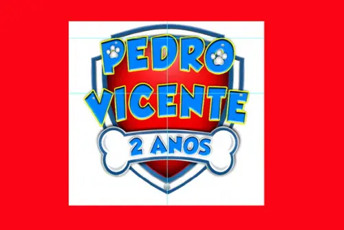 Escudo Patrulha Canina Para Pendurar