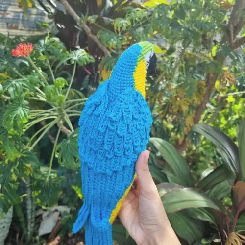 Arara Amigurumi