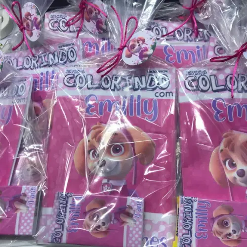 Kit Colorir Patrulha Canina