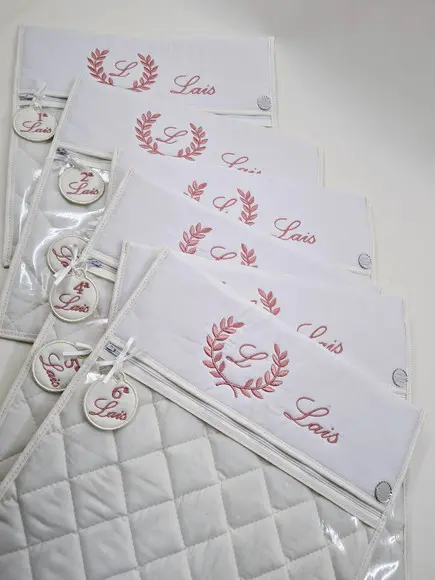Kit Envelope Organizador Maternidade