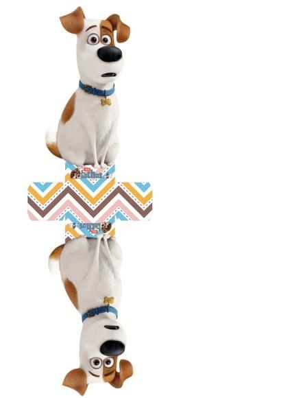 ARQUIVO CAIXA SILHOUETTE PETS LUXO