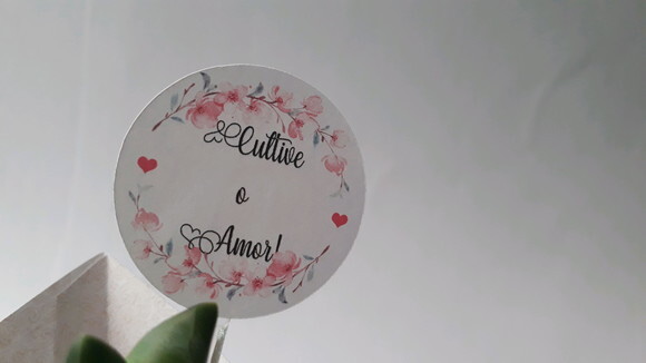60 Capinhas e Tag para Suculentas Casamento