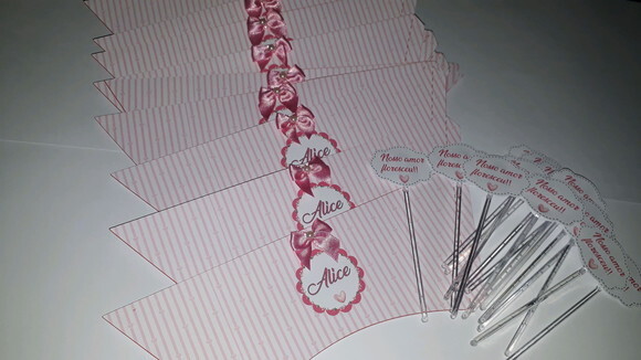 Capinha e Tag para Suculentas