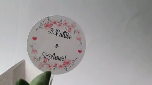 60 Capinhas e Tag para Suculentas Casamento
