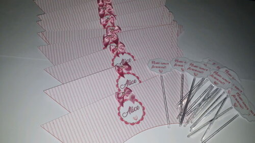 Capinha e Tag para Suculentas