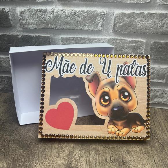 Caixa Mãe de 4 Patas