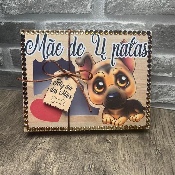 Caixa Mãe de 4 Patas