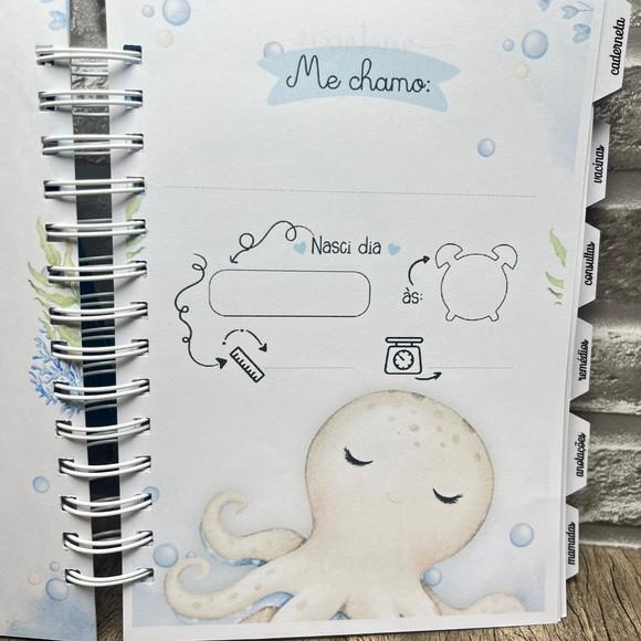 Combo Livro do Bebê + Caderneta de Vacina