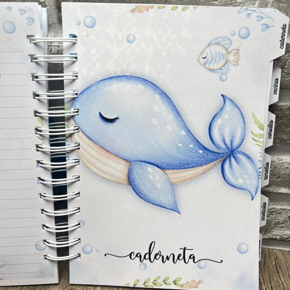 Combo Livro do Bebê + Caderneta de Vacina