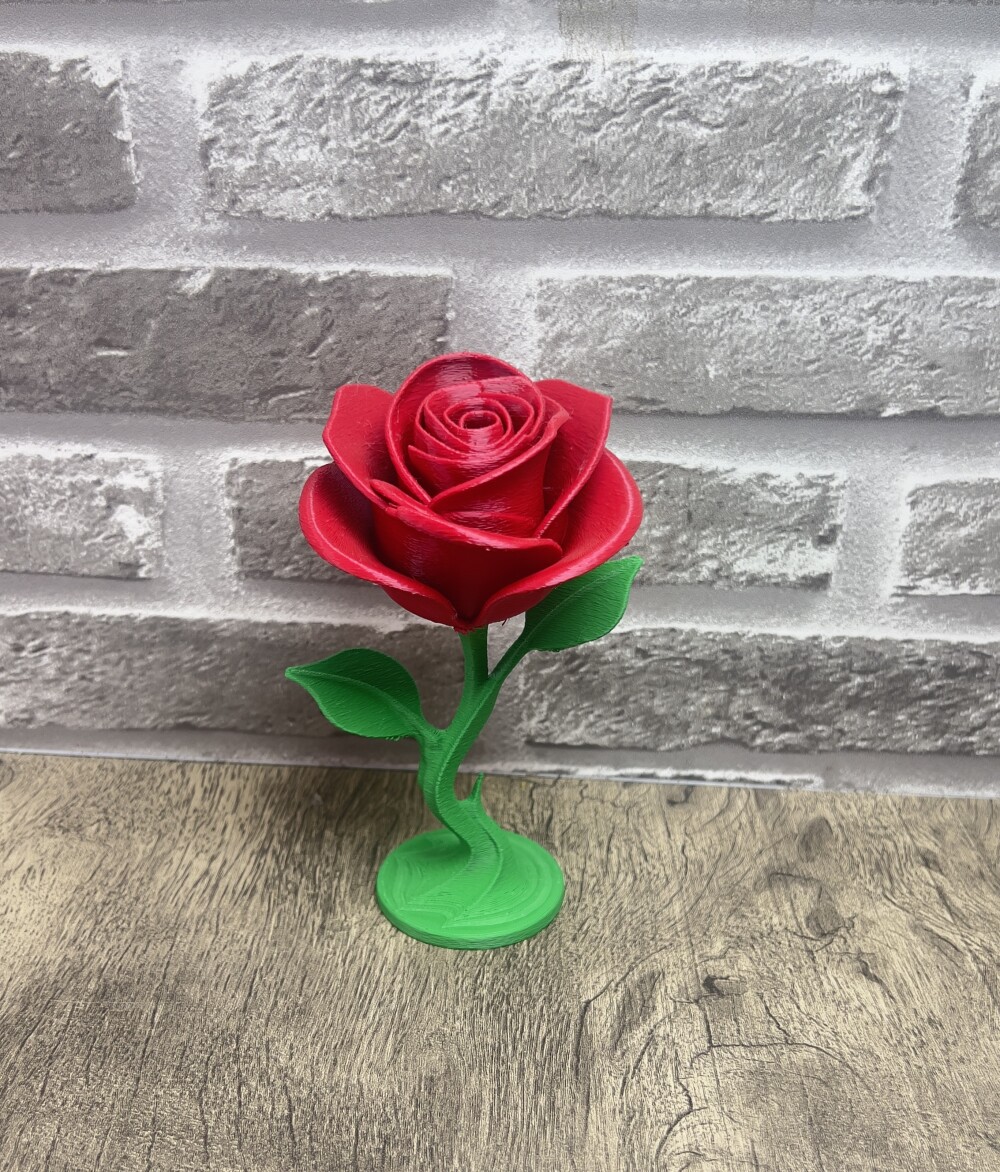 Rosa Eterna 3D