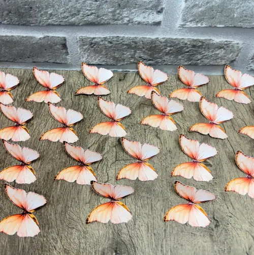 Apliques Borboletas Impressas Alaranjadas