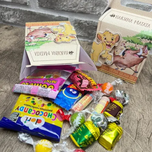 Caixa Maleta o Rei Leão