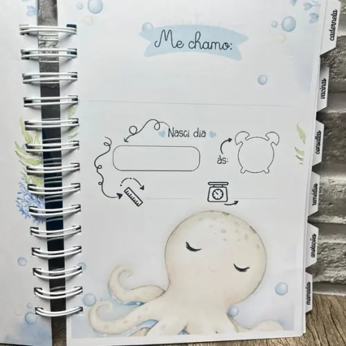 Combo Livro do Bebê + Caderneta de Vacina