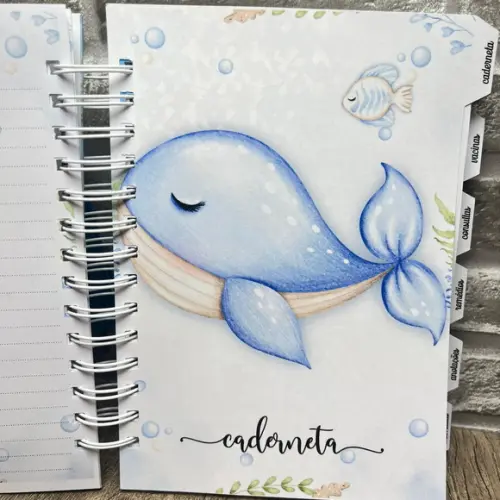 Combo Livro do Bebê + Caderneta de Vacina