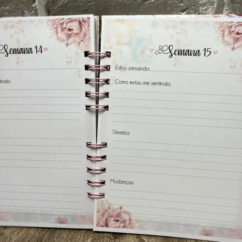 Diário da Gestante Planner Agenda