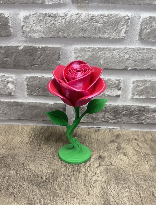 Rosa Eterna 3D