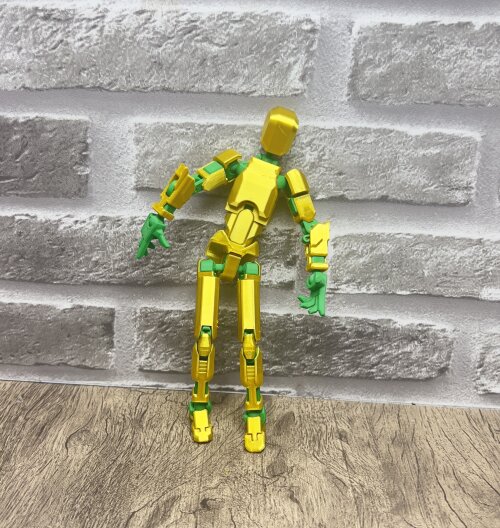Dummy 3D
