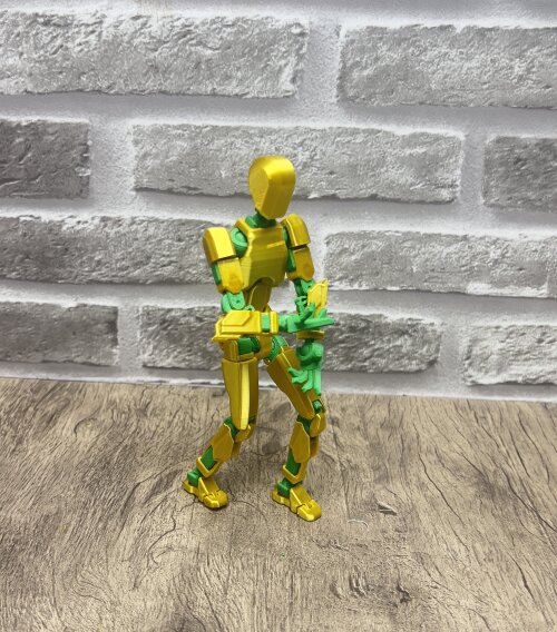 Dummy 3D