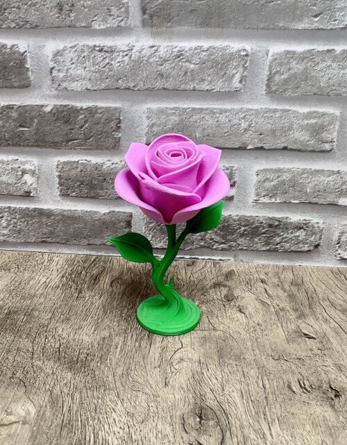 Rosa Eterna 3D