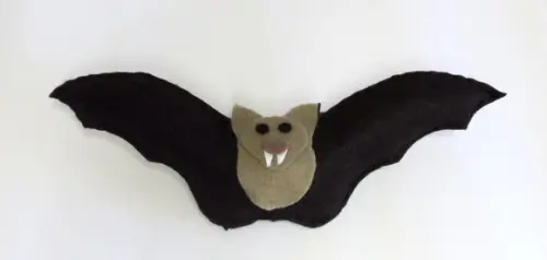 Morcego( Fauna Brasileira)