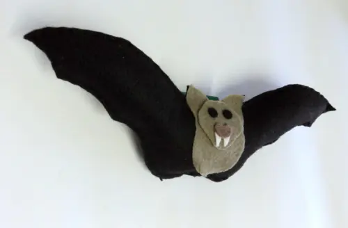 Morcego( Fauna Brasileira)