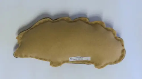 Ouriço Cacheiro ( Fauna Brasileira)