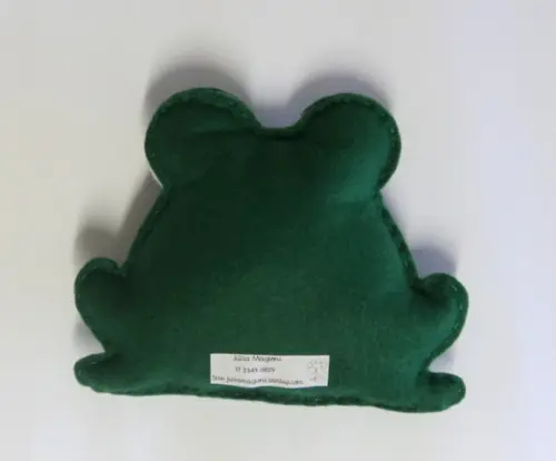 Sapo Cururu ( Fauna Brasileira)