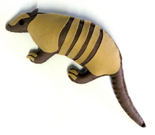 Tatu Canastra ( Fauna Brasileira)