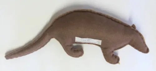 Tatu Canastra ( Fauna Brasileira)