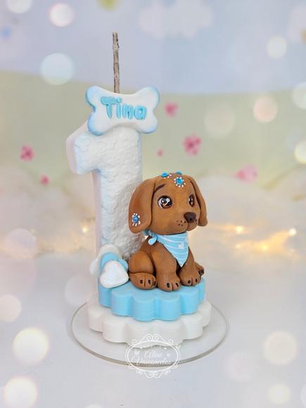 Vela Pet/cachorro em Biscuit