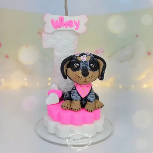 Vela Pet em Biscuit
