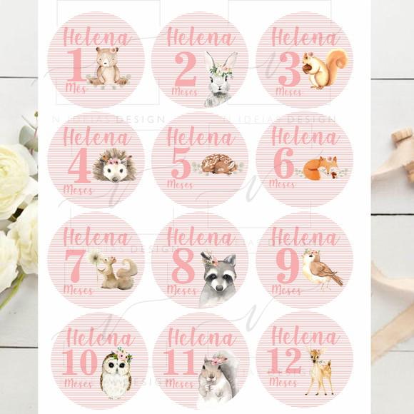 Kit mesversário 12 adesivos para body animais do bosque