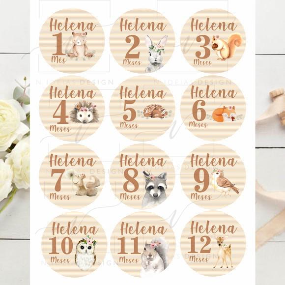 Kit mesversário 12 adesivos para body animais do bosque