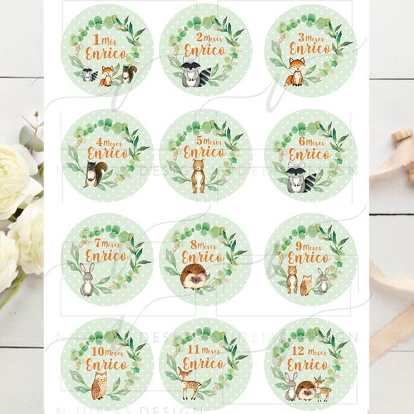 Kit mesversário 12 adesivos para body Menino Woodland