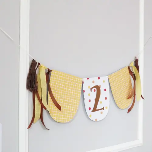 Kit Mesversário / Aniversário - Leão