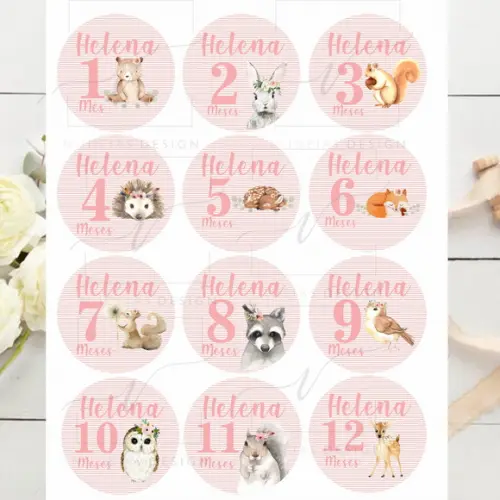 Kit mesversário 12 adesivos para body animais do bosque