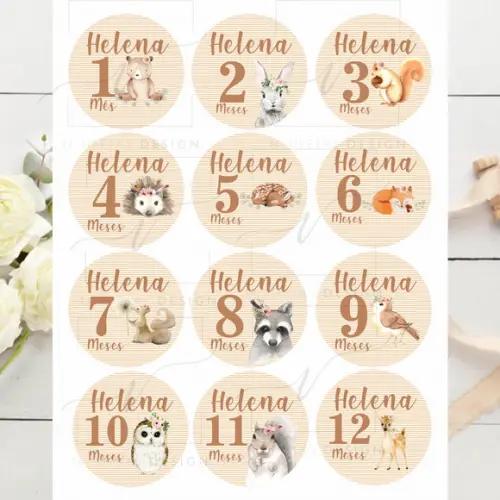 Kit mesversário 12 adesivos para body animais do bosque