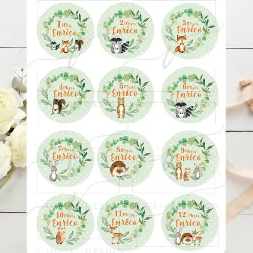 Kit mesversário 12 adesivos para body Menino Woodland