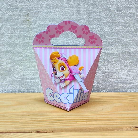 Caixa Coração Skye - Patrulha Canina