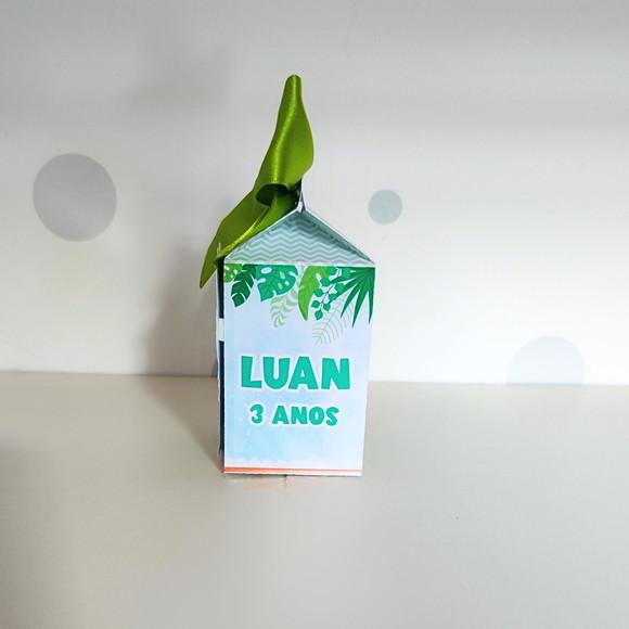 Caixa Milk Dinossauro Baby