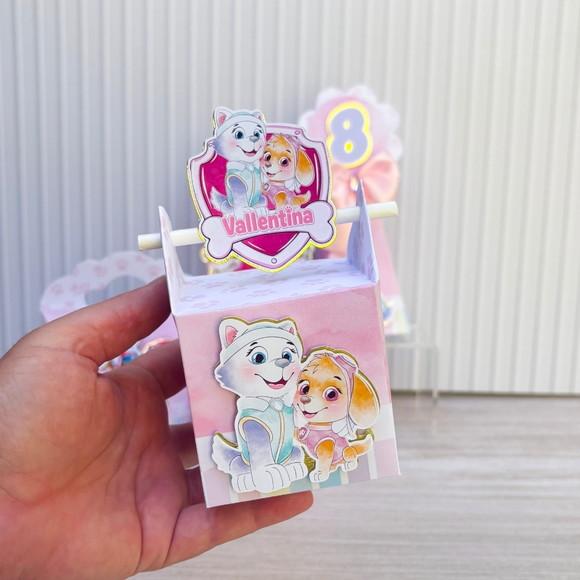 Kit Festa 15 Caixas Personalizadas Semi Luxo Skye e Everest