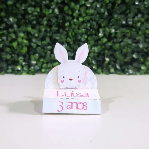 Bis Duplo Personalizado Circo Rosa
