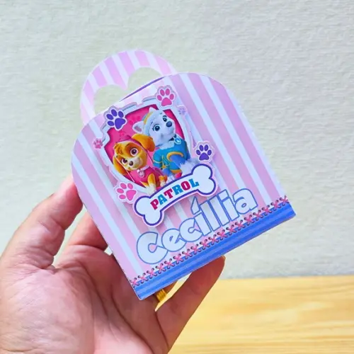 Caixa Maletinha Skye - Patrulha Canina