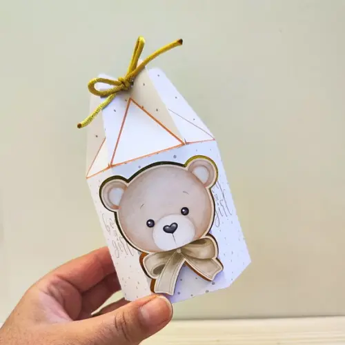 Kit Festa 20 Caixas Personalizadas Semi Luxo Chá Revelação