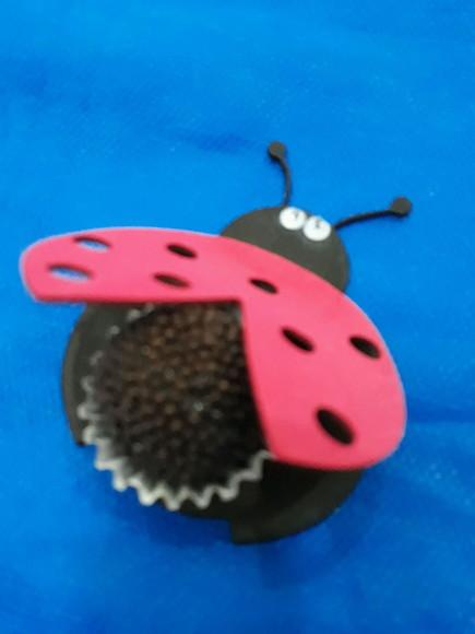 Forminha para Doces e Brigadeiro Joaninha 20 Unidades